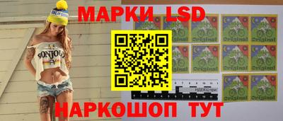 прущий лед Будённовск