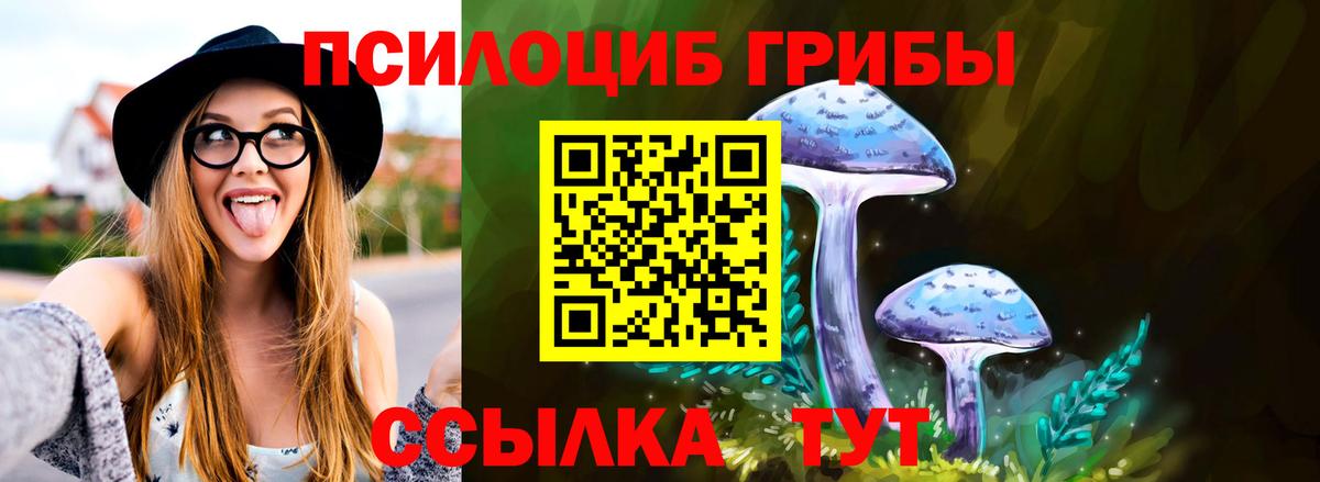 Псилоцибиновые грибы мицелий  Вход с VPN  Мурманск 